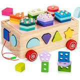 Terra Shape Sorter Learning Toys for Toddlers 18M+, Wooden Stacking Blocks Montessori Toys for 2 3 Year Old Colorful Activity Cube Learning & Education Preschool Toys Baby Boy Girl Gifts