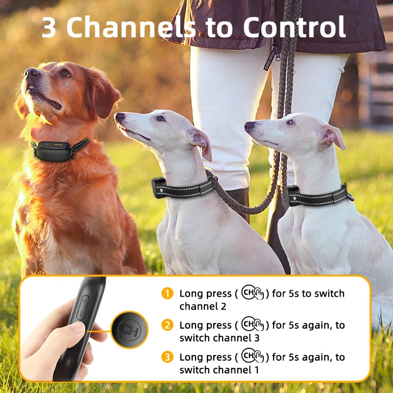 Rechargeable Electric Dog Training Collar with Remote | IPX7 Waterproof Bark Control with Vibration & Shock Modes