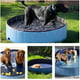 Intera Foldable Hard Plastic Extra Large Dog Pet Bath Swimming Pool Collapsible Dog Pet Pools Bathing Tub Paddling Pool for Large Pets Dogs Cats, Black/Blue/Gray/Red, XXL/XL/L/M