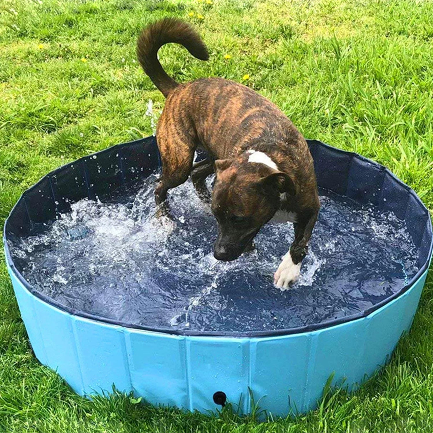 47.2" Foldable Hard Plastic Kiddie Baby Dog Pet Bath Swimming Pool Collapsible Dog Pet Pool Bathing Tub Kiddie Pool for Kids Pets Dogs Cats