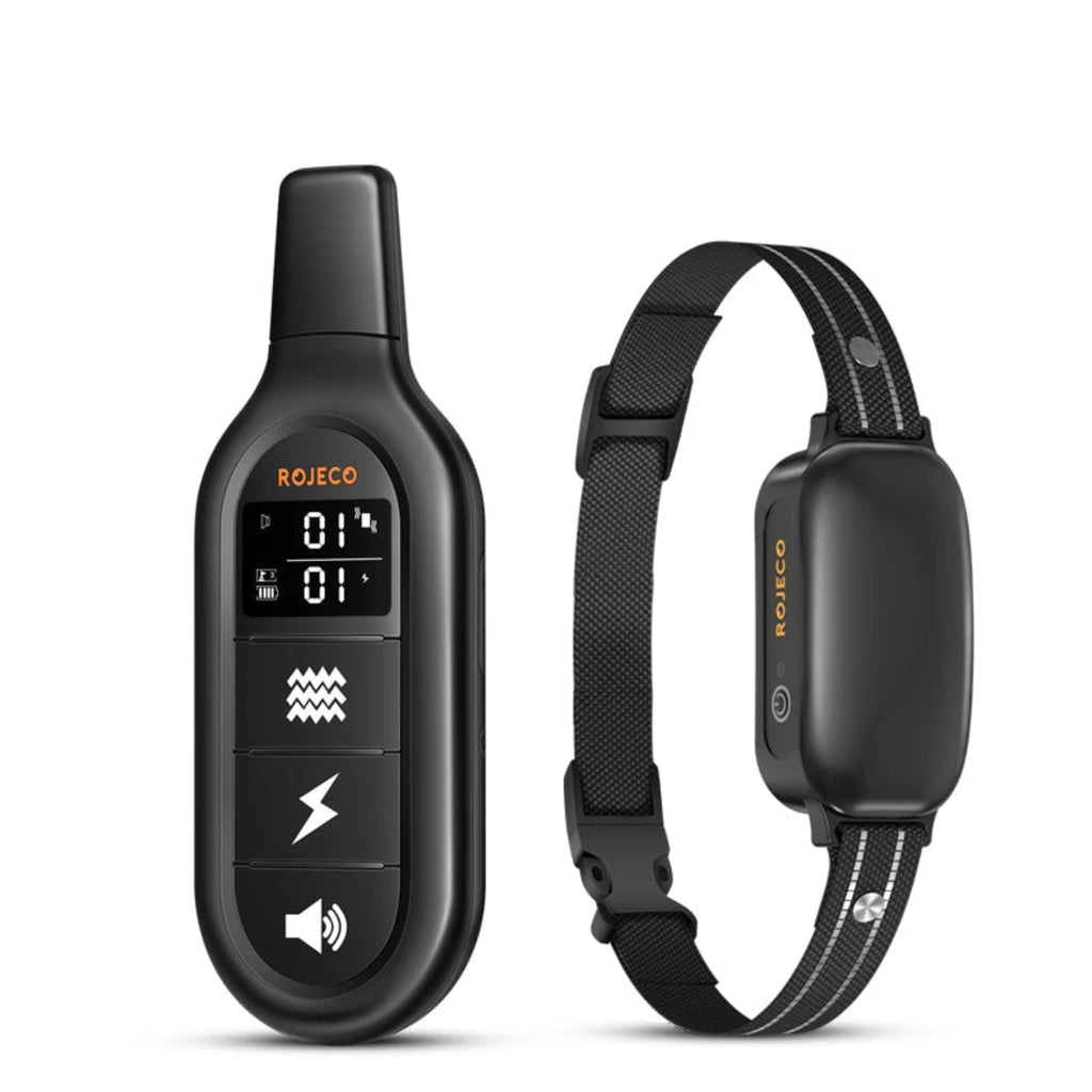 dog training device with remote and collar on a white background