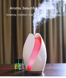 Aromatherapy Aroma Diffuser Diffuser EvoFine 